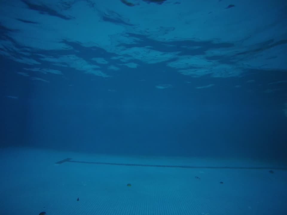Underwater frame from an Athlete camera